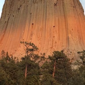 Meet your Posher, Lily